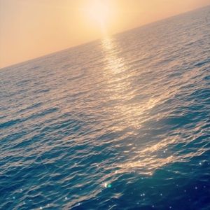 Meet your Posher, Roxanne